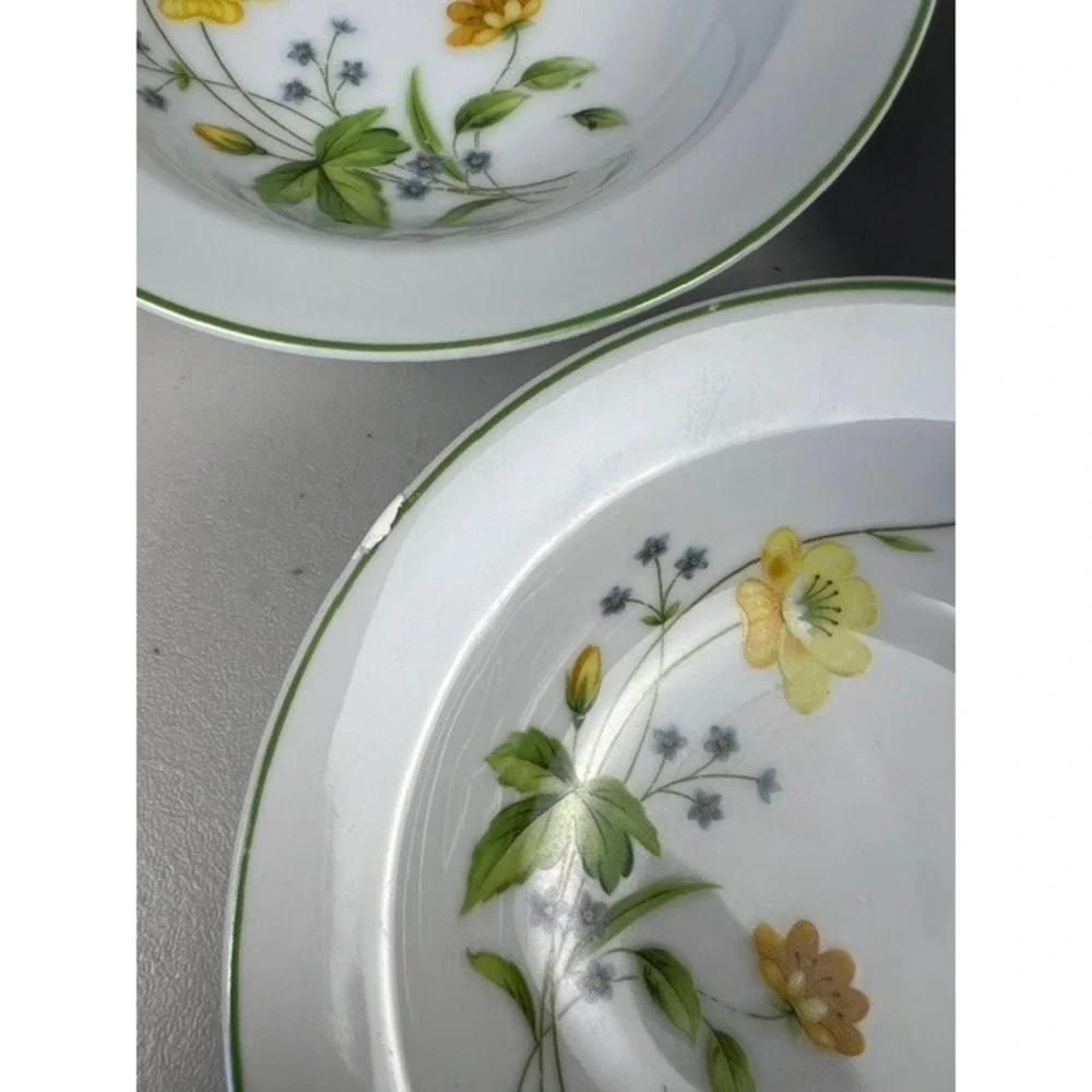 Castlecourt April Flowers Fine China Fruit Dessert Bowls Set of 5 Japan 5.5